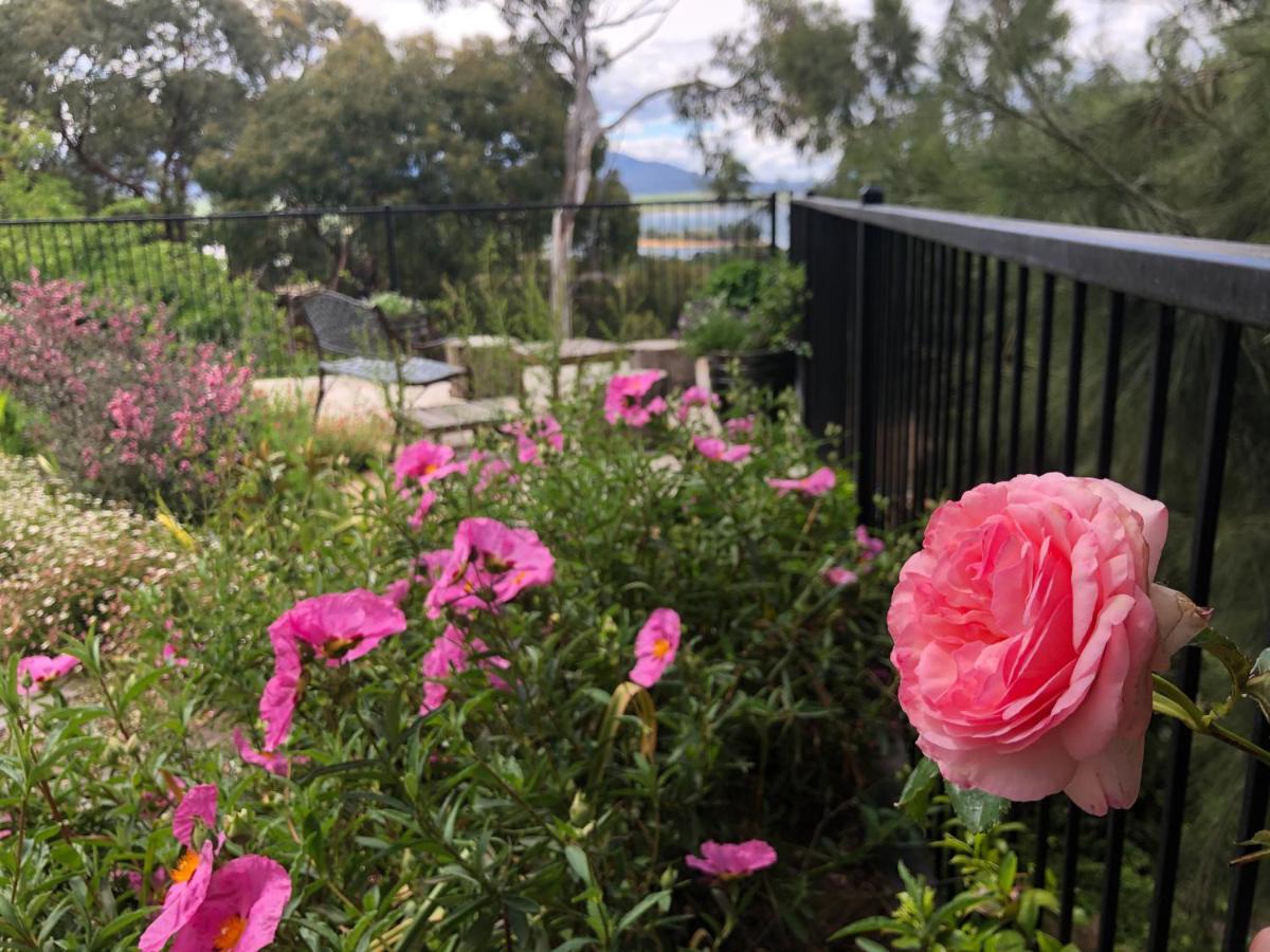 Troldhaugen Lodge - Adults Only Jindabyne Exterior foto